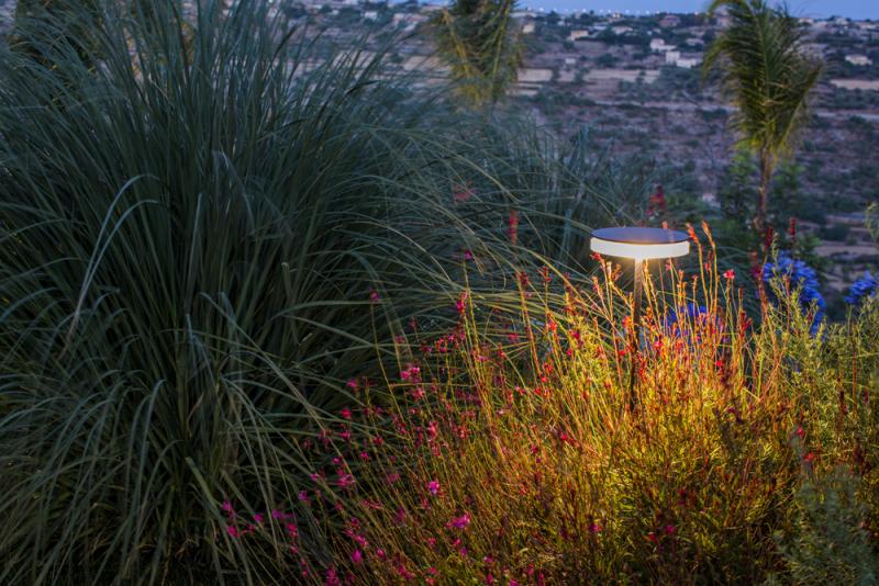 Comisio_garden_07