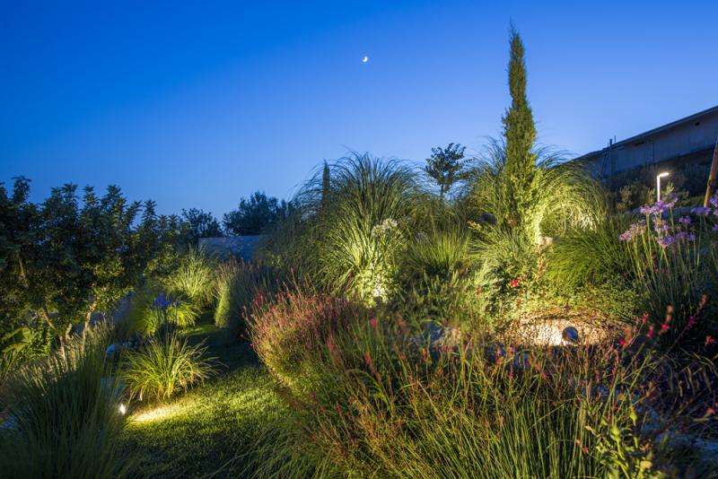Comisio_garden_13