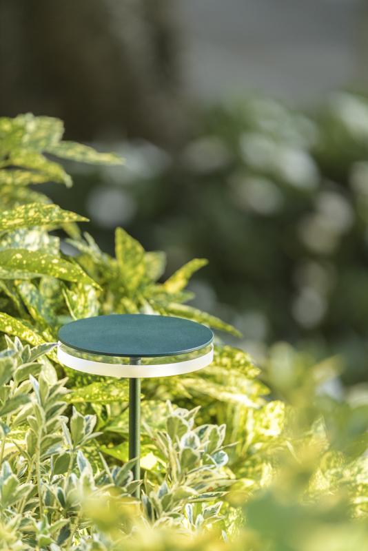 chiodo_green_forest_02.jpg