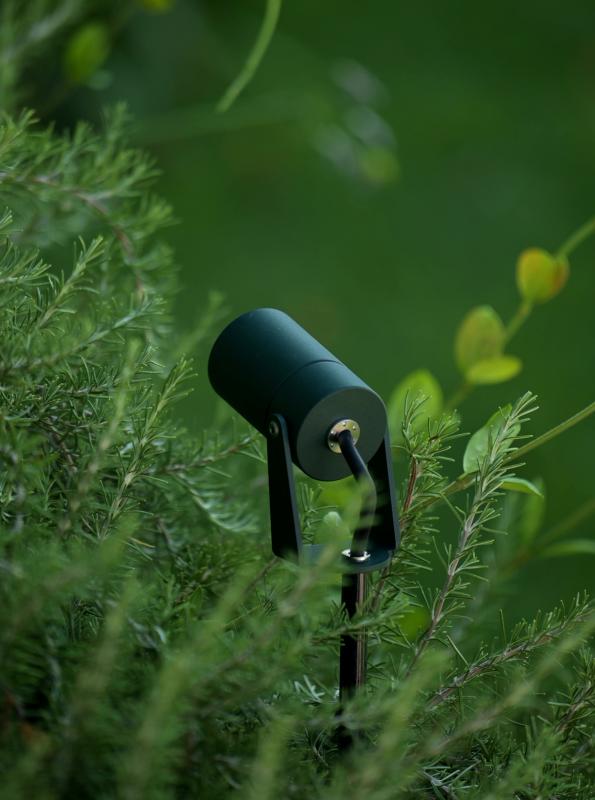 nano_proiettore_green_forest_02.jpg